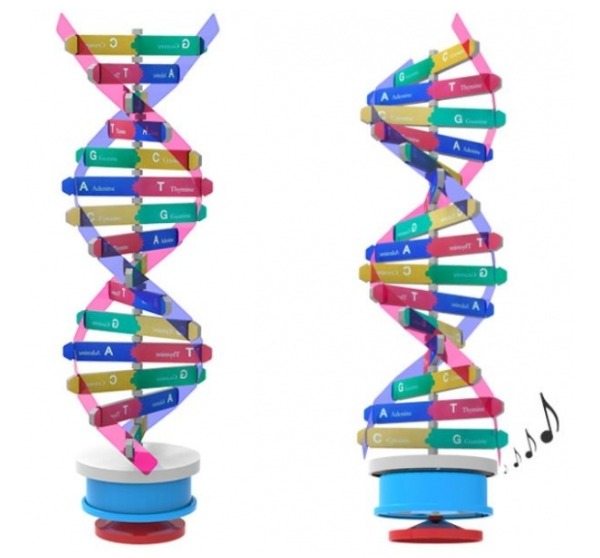 회전하는 DNA 입체 모형 오르골