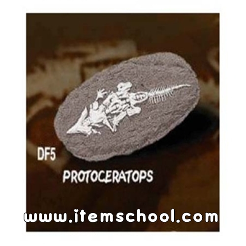 공룡화석발굴 -프로토세라톱스