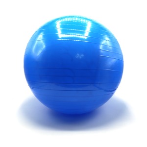 다이어트짐볼(65cm)  파랑