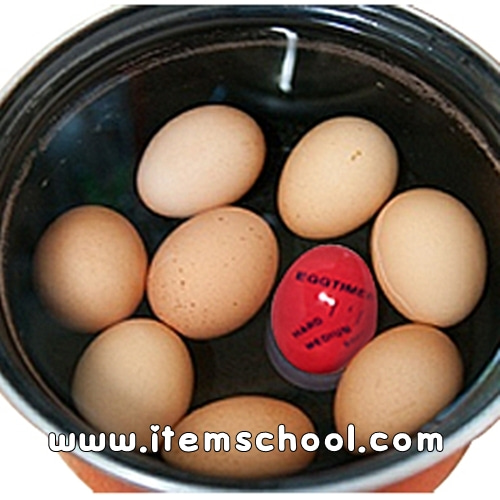 계란(달걀,에그) 타이머