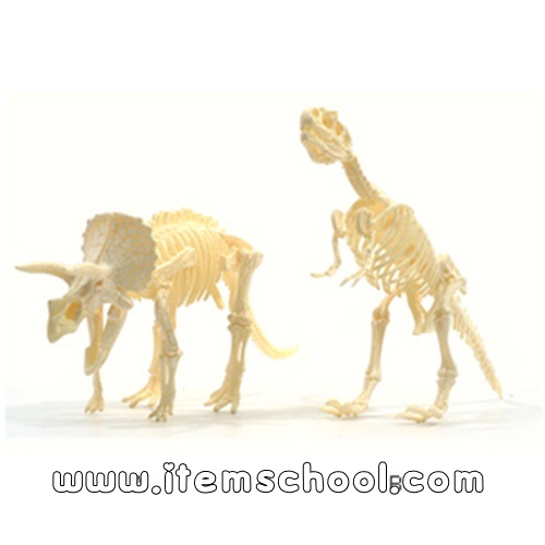 공룡화석모형(화석골격맞추기)